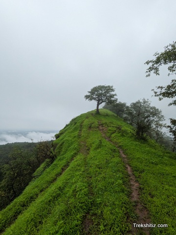 Tungi (Karjat)